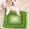 Shelter Animal Bed
