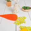 Bunny & Carrots