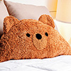Teddy Bear Pillow